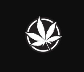 The Kootenays Cannabis Tree