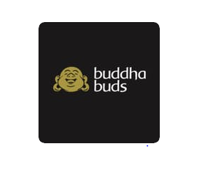 Buddha Buds Weed Delivery
