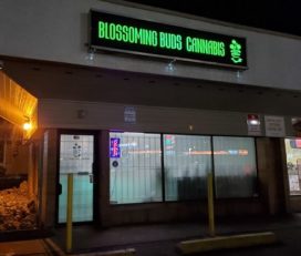 Blossoming Buds Cannabis Inc. – Kamloops