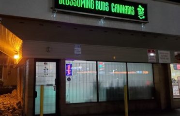 Blossoming Buds Cannabis Inc. – Kamloops