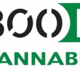 Cariboo Buds Cannabis