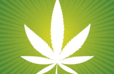 Green Solution Cannabis – Barrhead