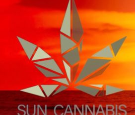 Sun Cannabis –  Buffalo Creek