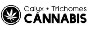 calyx-trichomes-cannabis-kingston