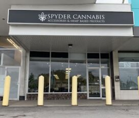 SPDR Cannabis – Niagara Falls