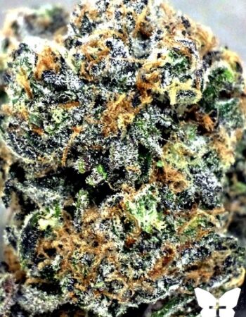 Dr.Baked Cannabis
