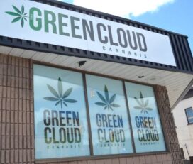 The Green Cloud Cannabis – Listowel