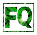 Fuego Quads-same-day-weed-delivery-richmond-hill