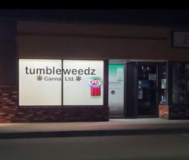 Tumbleweedz Canna Ltd – Oliver