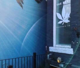 The Bend Cannabis Co. – Kensington