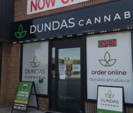 Dundas Cannabis – Woodstock