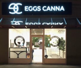 Eggs Canna – Penticton