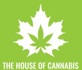 The House of Cannabis – Kingston