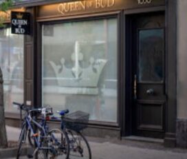 Queen of Bud – Toronto