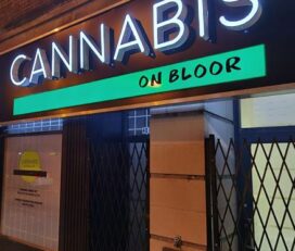 Cannabis on Bloor – Toronto