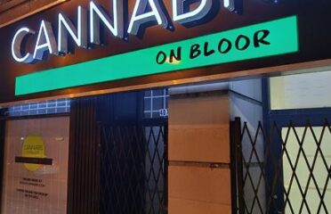 Cannabis on Bloor – Toronto