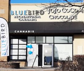 BlueBird Cannabis – Kanata