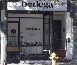 Bodega Cannabis – Toronto