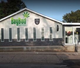 BayBud Cannabis – Barry’s Bay