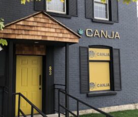 Canja Cannabis – Guelph