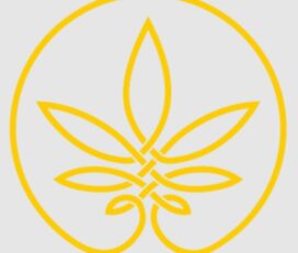 The Cannabist Shop – Guelph