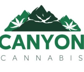 Canyon Cannabis – Bloor St, Toronto