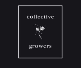 Collective Growers – Ottawa Downtown