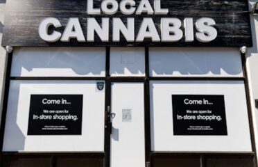 Your Local Cannabis – Scarborough