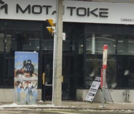 Mota Toke Cannabis – Toronto