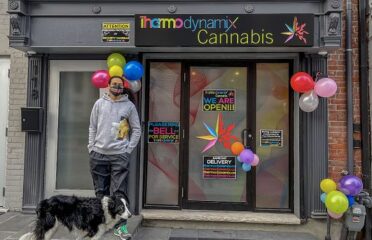 Thermodynamix Cannabis – Toronto