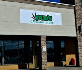 Bud’s Cannabis Store – Guelph