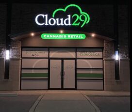 Cloud29 Cannabis Retail – Windsor