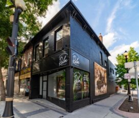 Relm Cannabis Co. – Downtown Hamilton