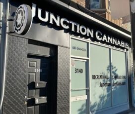 Junction Cannabis – Toronto