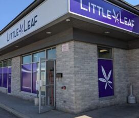 Little Leaf Cannabis Co. – Stratford