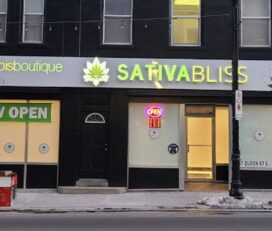 Sativa Bliss – Kitchener