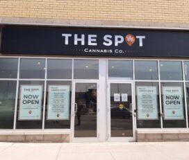 The Spot Cannabis Co. – Waterdown