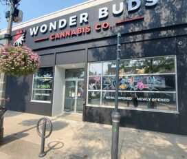 Wonder Buds Cannabis Co. – Niagara Falls