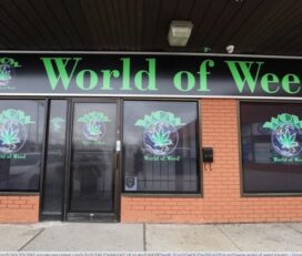 WOW World of Weed – North York