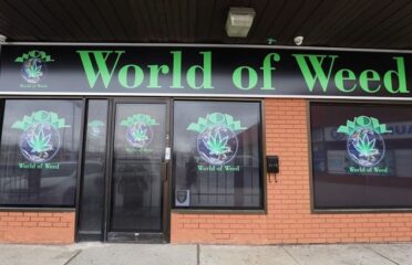 WOW World of Weed – North York