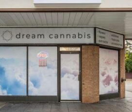 dream cannabis – Kemptville