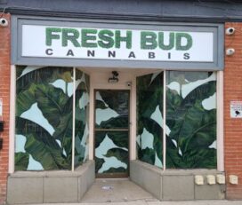 Fresh Bud Cannabis – Cambridge