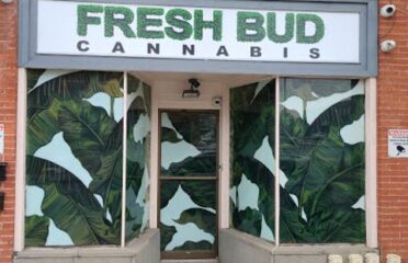 Fresh Bud Cannabis – Cambridge