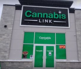 Cannabis Link – Hyde Park, London