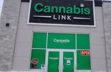 Cannabis Link – Hyde Park, London