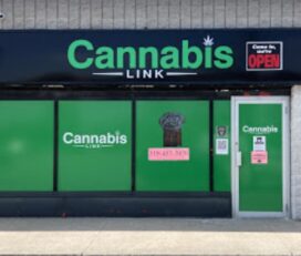 Cannabis Link – Highbury, London