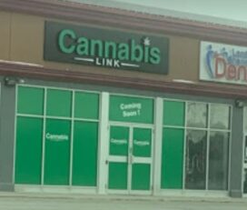 Cannabis Link – Sherwood, London