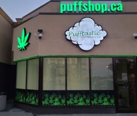 Pufftastic Cannabis Company – Scarborough