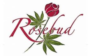 Rosebud Cannabis Toronto