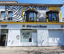 Shivaa’s Rose – Toronto